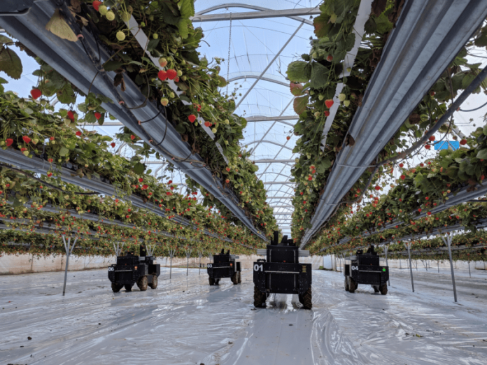 Ag robotics startup Tortuga comes out of stealth with Tesla Ag robotics startup Tortuga comes out of stealth with Tesla co-founder Tarpenning on board