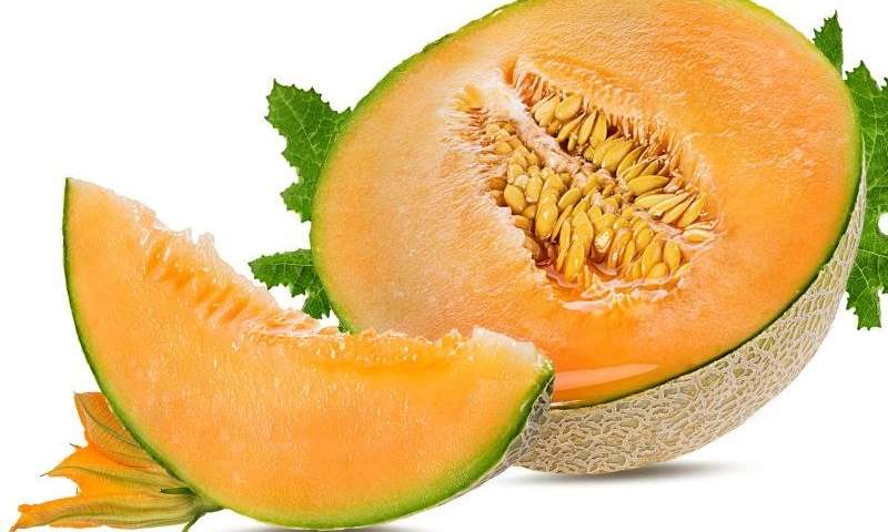 Anambra To Produce Foreign Melon