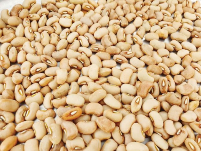 Improved cowpea seeds