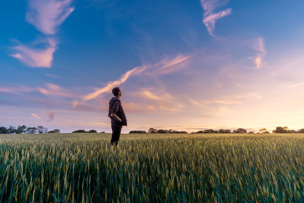 Soy checkoff’s Tech Toolshed is gold mine for understanding how farmers think about tech