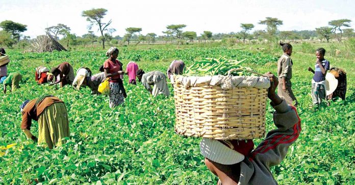 Stakeholders set agenda for FG on agric