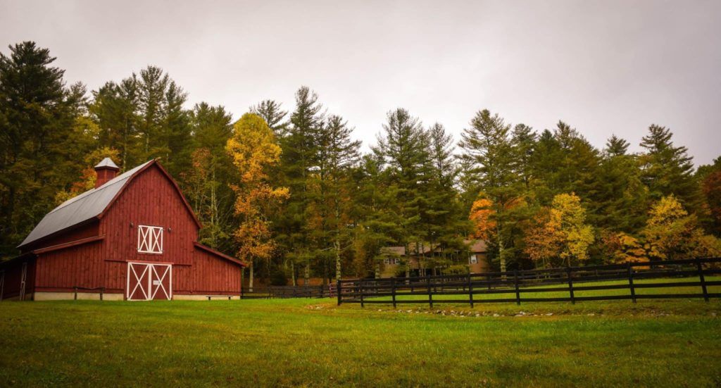 Steward is helping small diversified farms access financing one crowdfunded dollar at a time