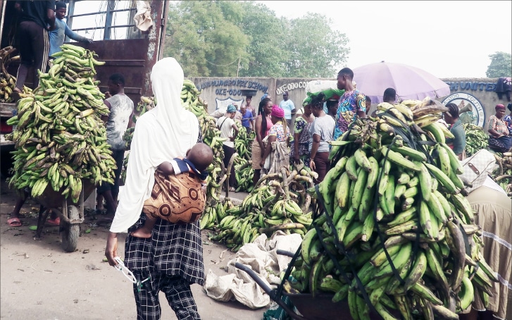 VAT Exemption On Some Food Items Good But Not Enough, Stakeholders Tell FG
