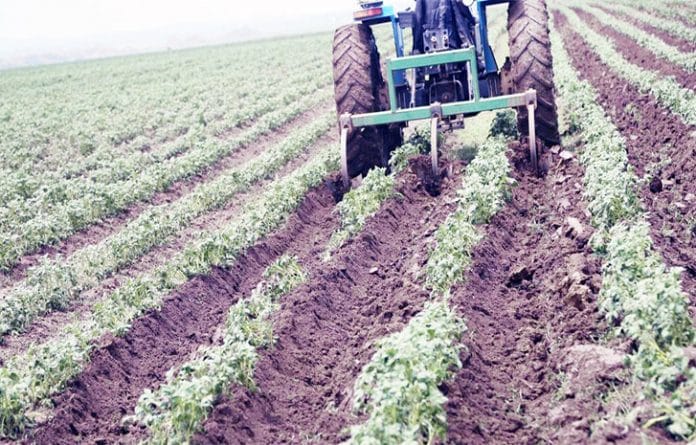 Why You Need To Farm This Year