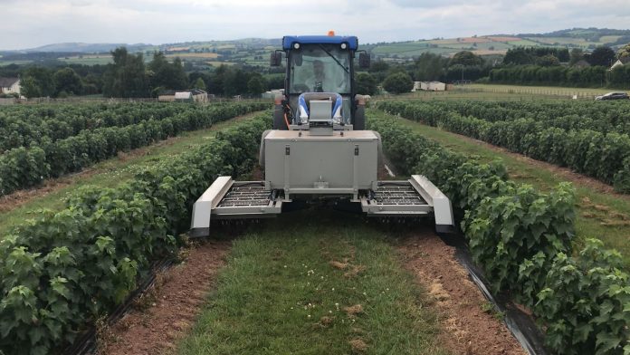 Zap! This UK startup just raised €6.5m to commit electricide on weeds