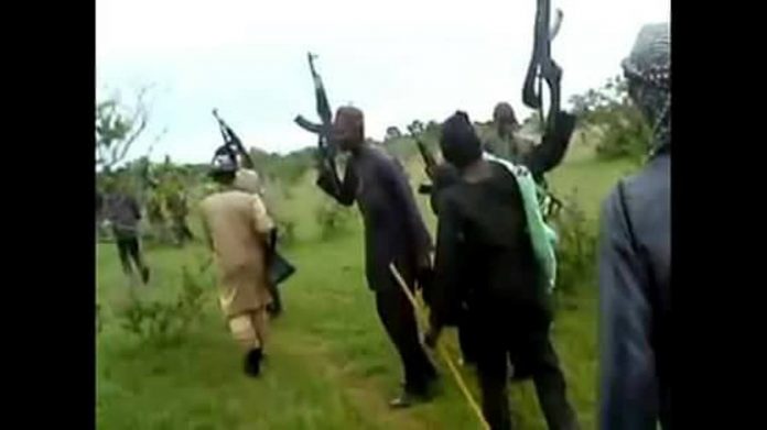 Bandits invade another LGA in Niger, kidnap scores of people, Bandits invade another LGA in Niger, kidnap scores of people, rustle cattle