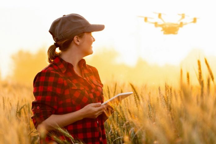 Can a 15 minute survey help farmers adopt more tech? Growers Insight is betting on it