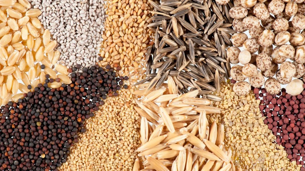 Council expresses readiness for quality seeds, seedlings