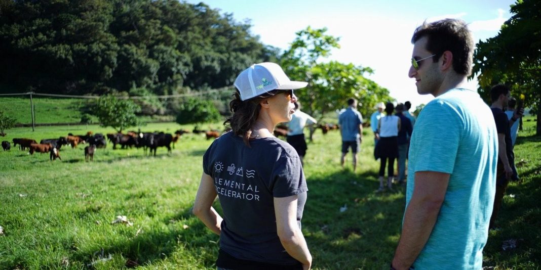 Elemental Excelerator is seeking applications for its 9th climate-tech focused cohort