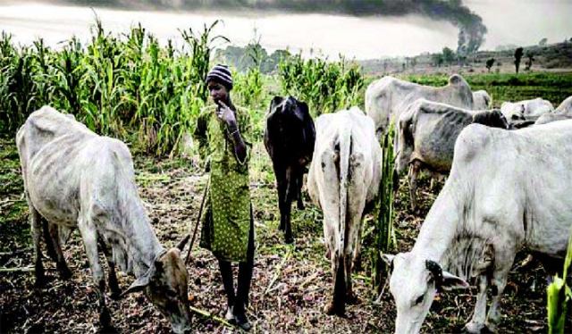 Farmers/herders’ clashes: Edo govt holds public hearing with security agencies