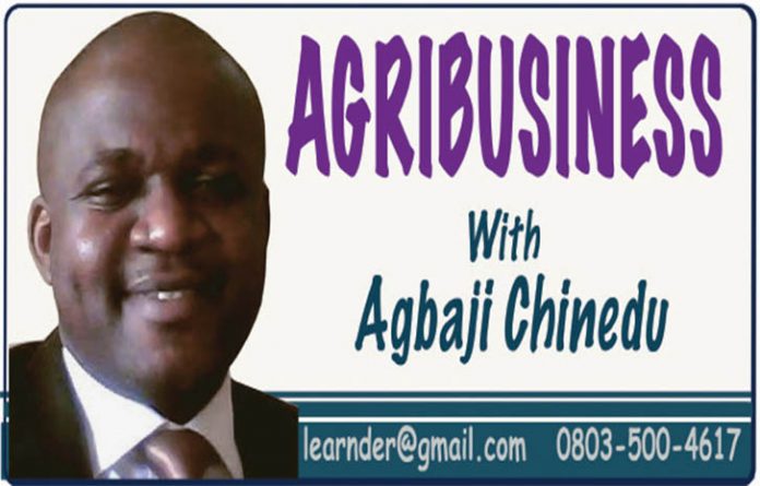 Investing In Livestock Feed Formulation Business