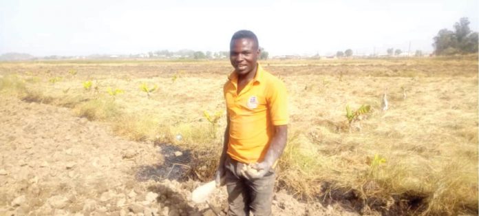Plateau farmers hopeful of bountiful yield