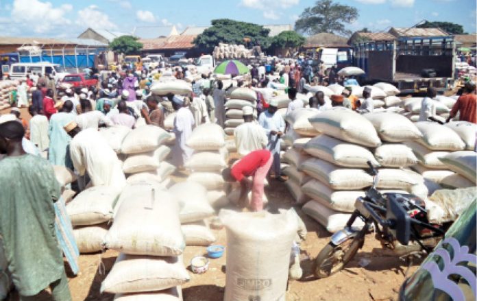 Rice production in Kano now 3m tonnes yearly – Ganduje Rice production in Kano now 3m tonnes yearly – Ganduje
