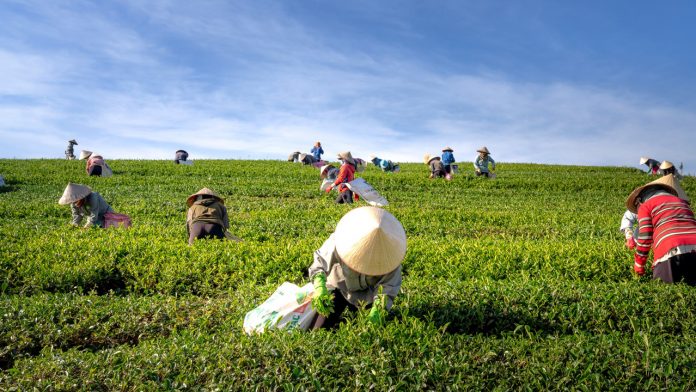 Support ADP to boost Agro production - Experts tell government Support ADP to boost Agro production - Experts tell government