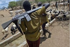 Farmer/herder conflicts require real-time, practically-oriented solution ― Malami