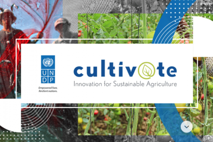 The UNDP’s new Global Centre for Tech, Innovation, and Sustainable Development wants to bring scalable tech to the developing ag world