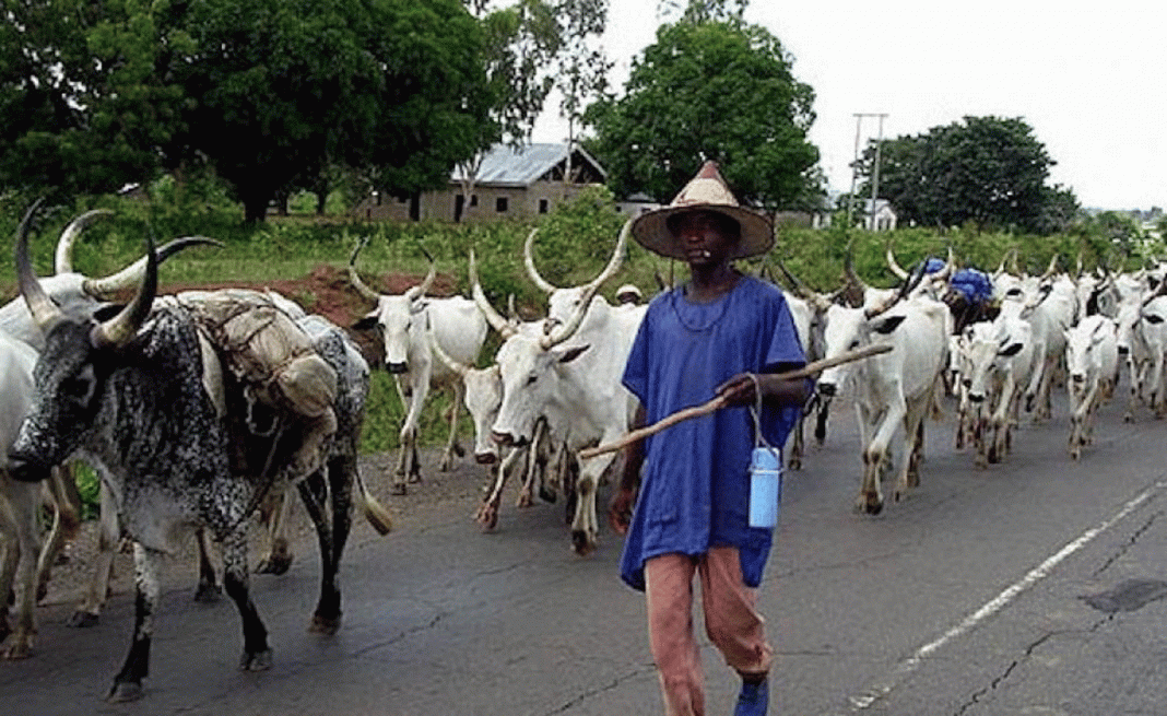 UPU Youth President blows hot, condemns herdsmen burning, killings in Urhobo