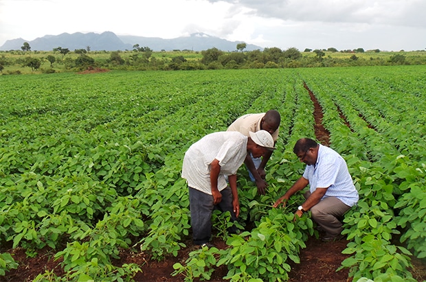 ‘Food-drying techs to ensure self-sufficiency for Nigeria’ ‘Food-drying techs to ensure self-sufficiency for Nigeria’