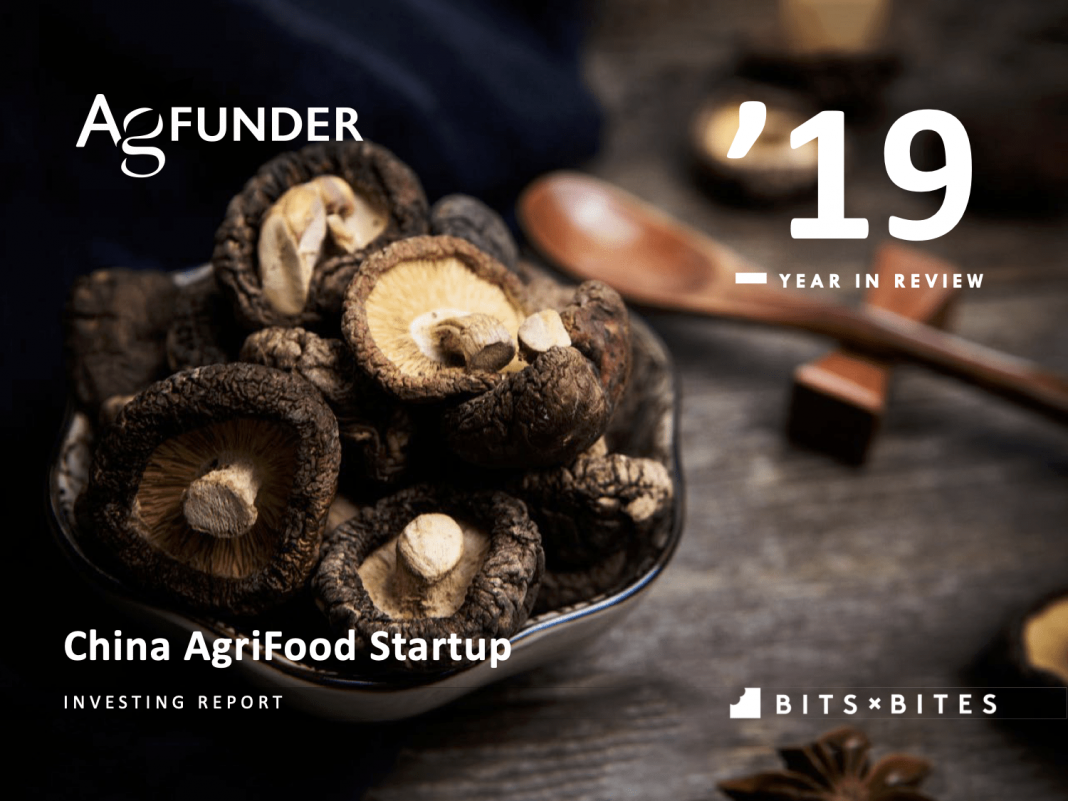 Chinese agrifood startups raised $3.6bn in 2019 as economic headwinds intensified