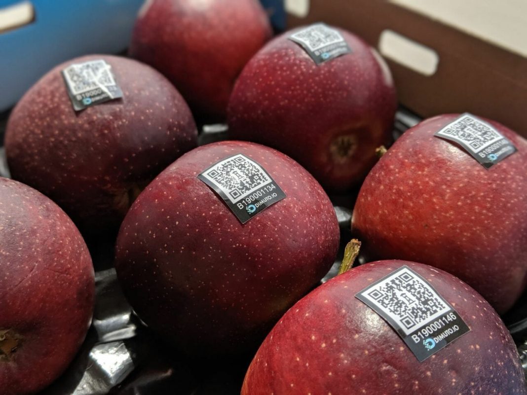 DiMuto scores funding to take its traceability tech global