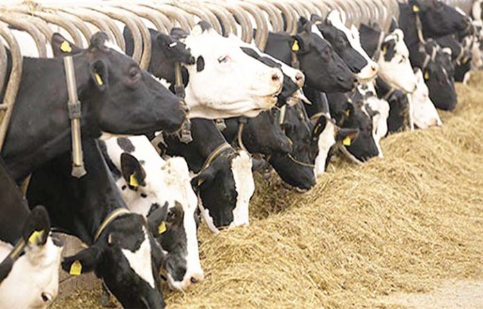 Exemption Of Animal Feeds From VAT Excites Farmers Exemption Of Animal Feeds From VAT Excites Farmers