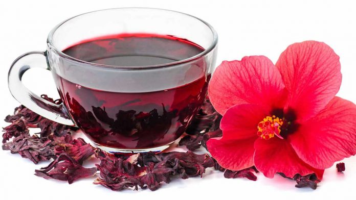 Hibiscus: Nigeria loses $112.78m to Mexico’s ban