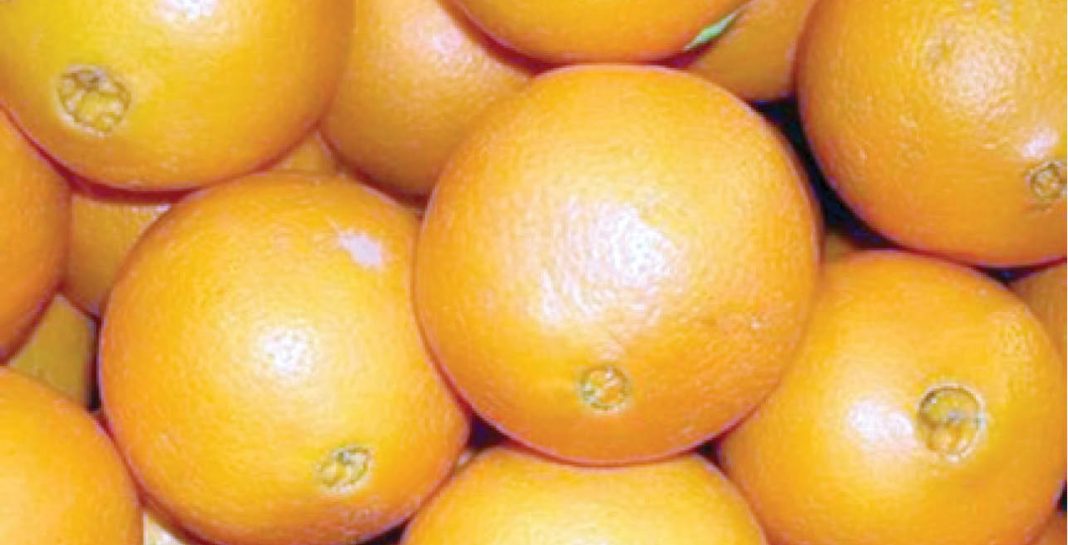 How farmers can make money from essential oil yielding plants