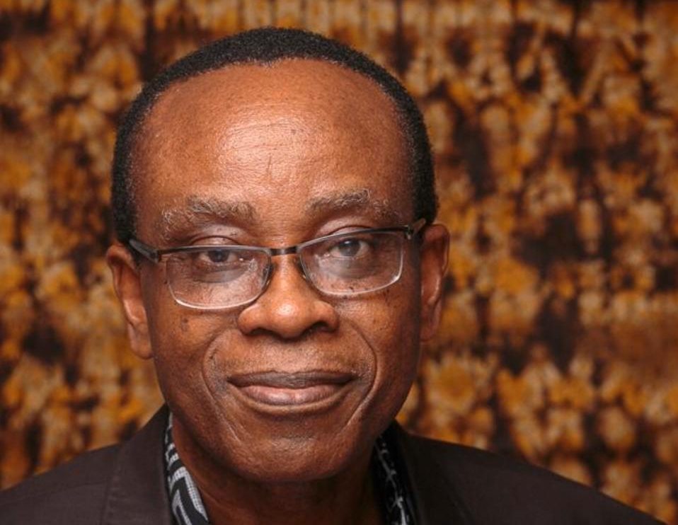INTERVIEW: How Nigeria can benefit from maintaining forests – Nnimmo Bassey