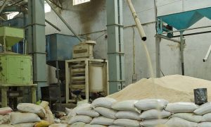 Japan constructs, equips N26m rice mill in Edo