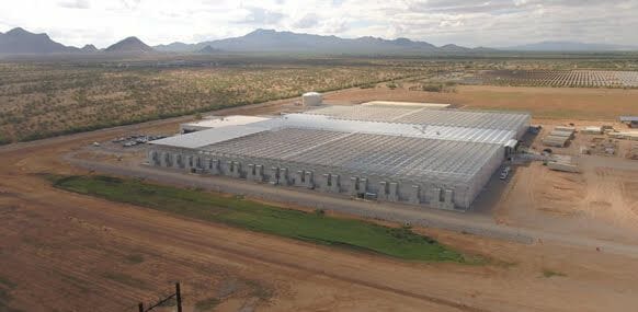 Operation desert corn: Bayer opens new high-tech greenhouse in Arizona