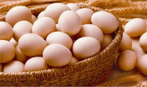 PANOG wants egg Inclusion in School Feeding Programme