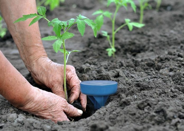 Sensoterra joins network provider to take its soil moisture probes to the world’s most parched farms