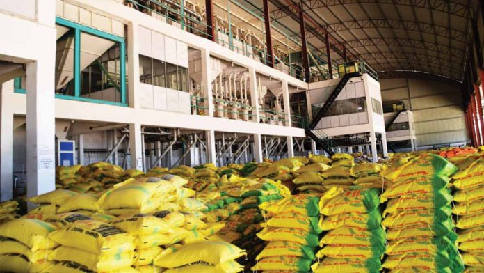 Stakeholders differ on rice production level in Kano