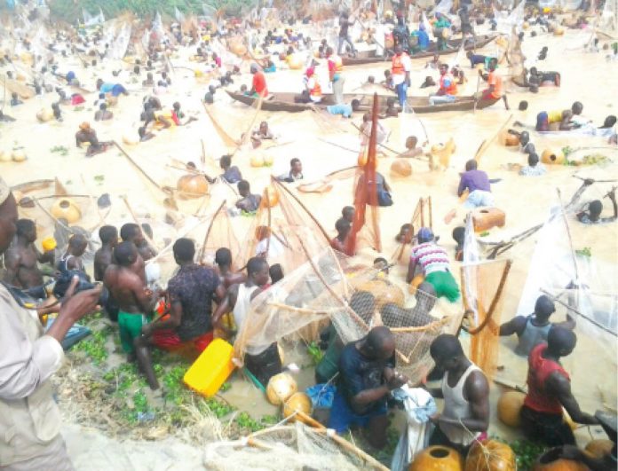 Kebbi fishermen during the just conluded Argungu fishing festival