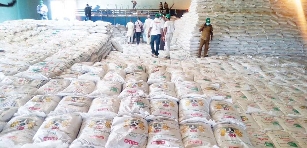 Why OCP Africa, 3 institutes considered special fertiliser for tomato, oil palm
