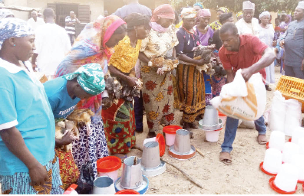 Why farmers’ cooperative societies fail