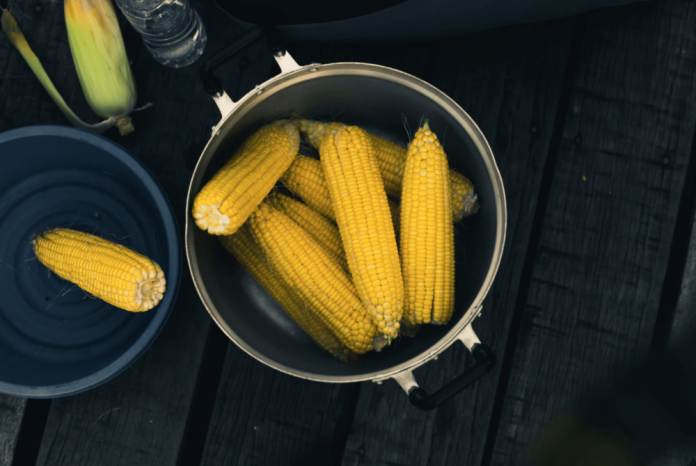 BREAKING: Pivot Bio raises $100m Series C to meet demand for sold-out nitrogen-fixing microbe product