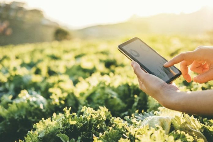 Customized technology can assist smaller farms to sustain their operations