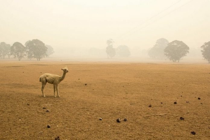Earth Day: Hotter, wetter, drought, fires – using satellite imagery to see climate change’s impact on global agriculture