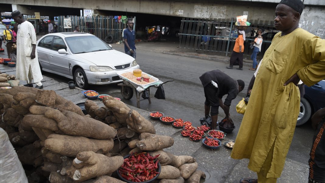 Expert predicts food shortage as farmers become resource-poor