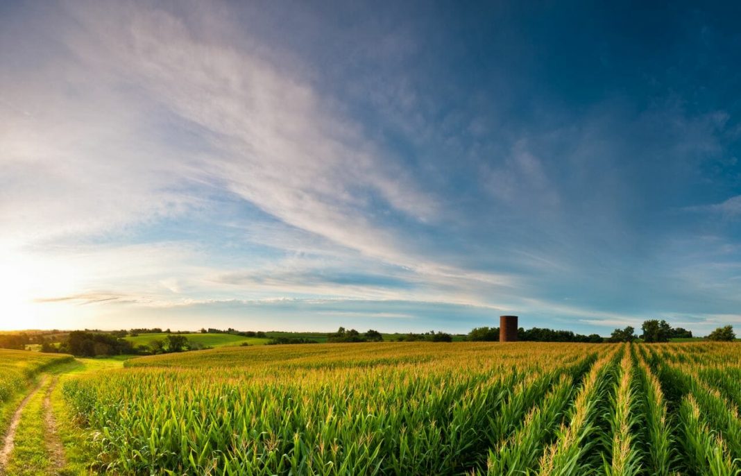 How Iowa’s startup ecosystem is supporting agtech startups