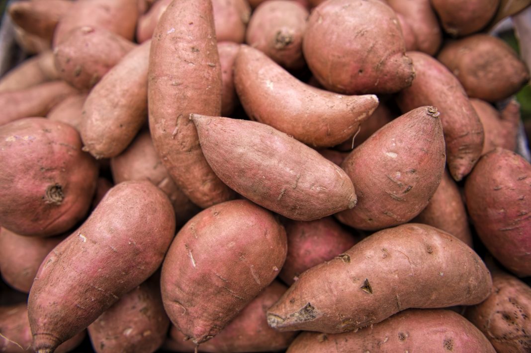Sweet potato