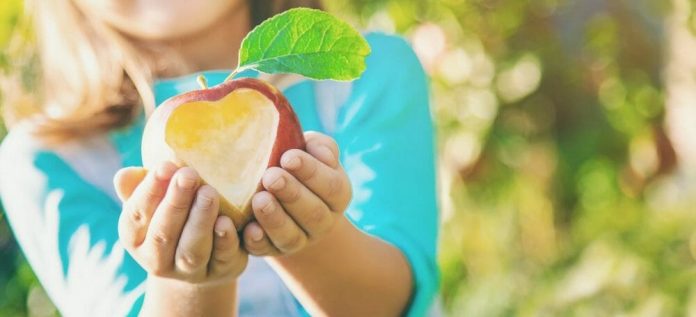 It’s time to invest in a more resilient agrifood system