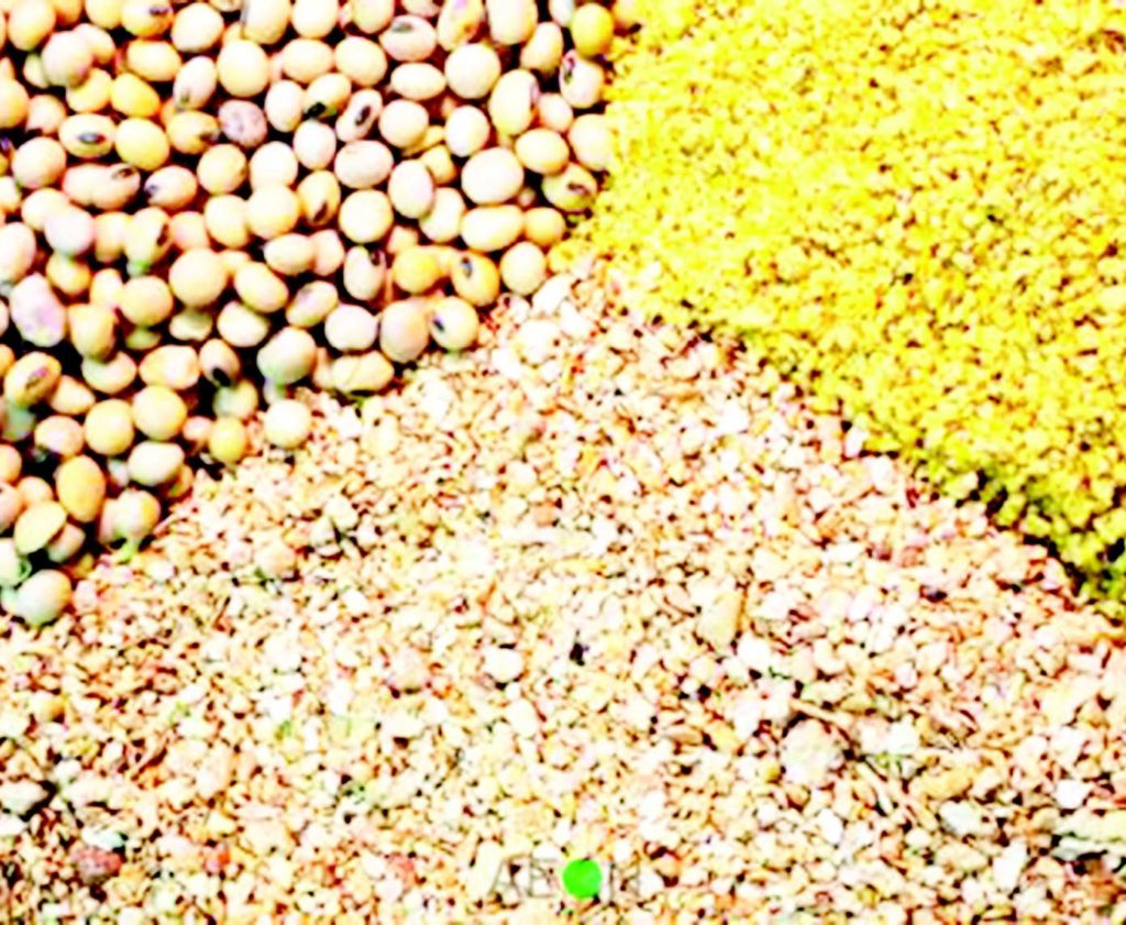 Livestock Feed Raw Material Business