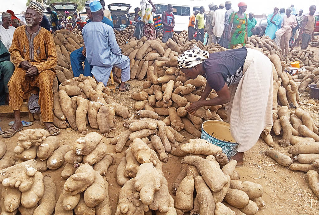 Maize, soya beans farmers to benefit from N3.5bn  fund in Ekiti