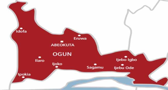 Ogun targets 50,000 youths for agricultural production