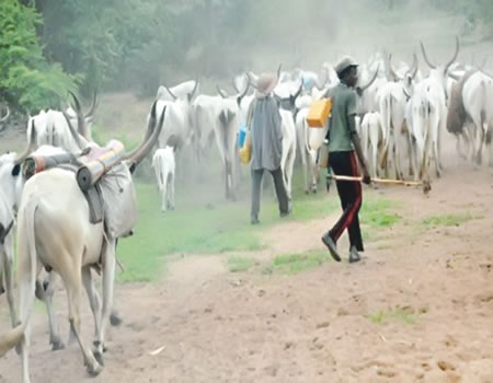 South-South, CHURAC, security, herdsmen killings, herder, farms