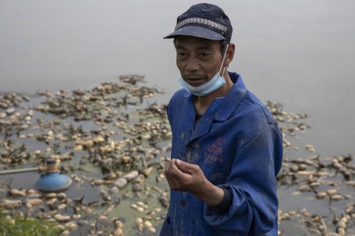 Wuhan farmers struggle as crops wither from travel limits