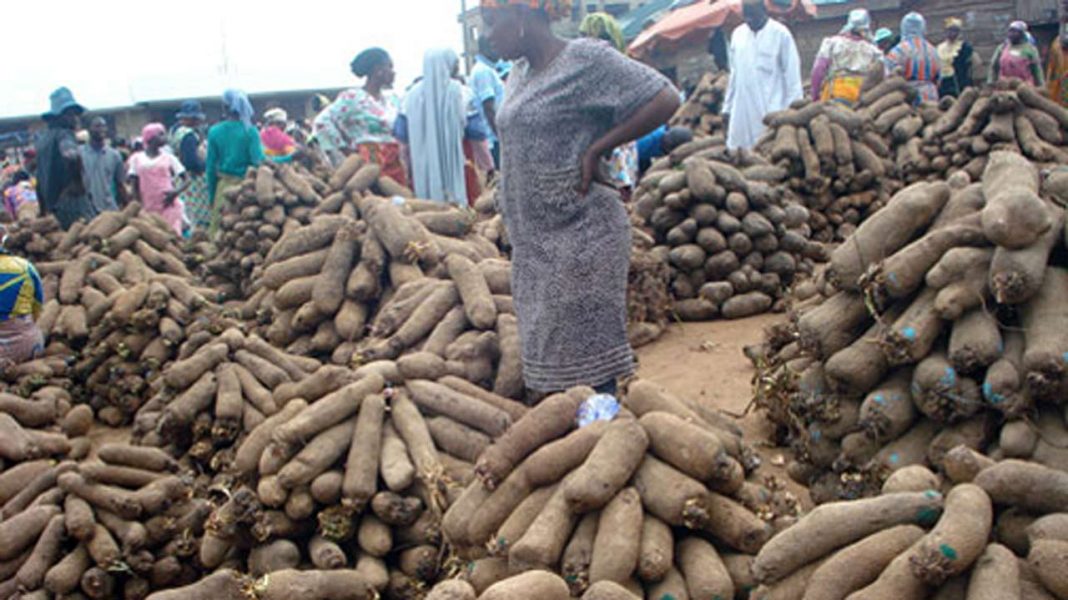 ‘Emphasis on value chain, home-grown food prepares Nigeria for COVID-19’