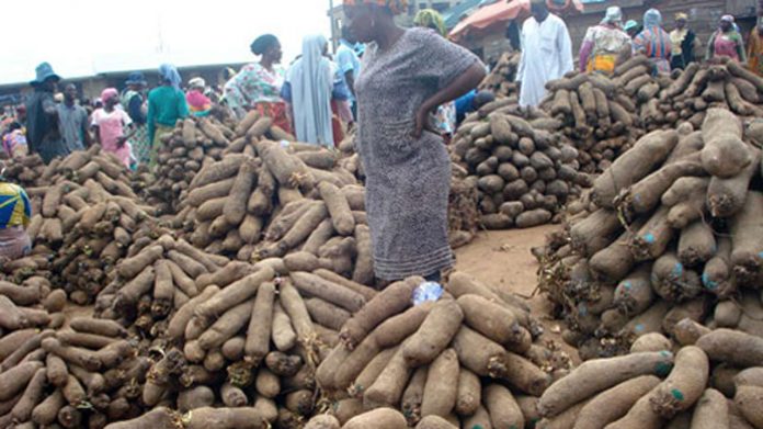 ‘Emphasis on value chain, home-grown food prepares Nigeria for COVID-19’